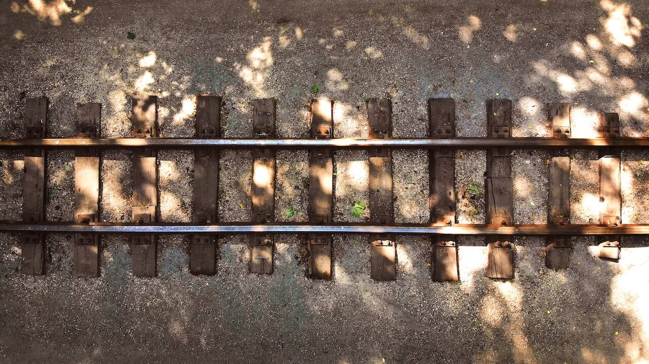 Veterinarian holding cat
