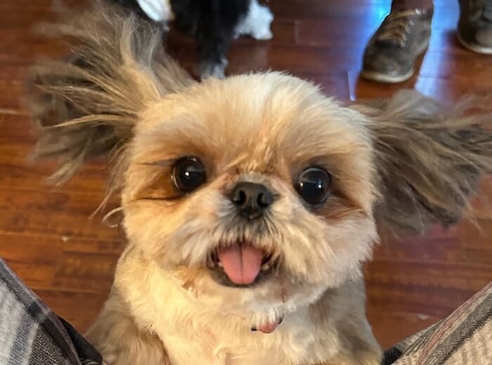 Kala's Story - She Does Not Give Up